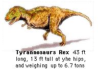 Rex